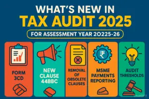 Tax Audit 2025